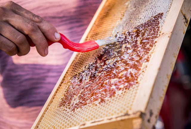 Handwerker kratzt Honig vom Bienenstock Handwerker kratzt Honig vom Bienenstock